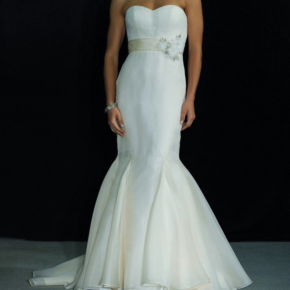 Anne Barge Firebird Strapless Blush Mermaid Organza Lace Wedding Dress Gown 4